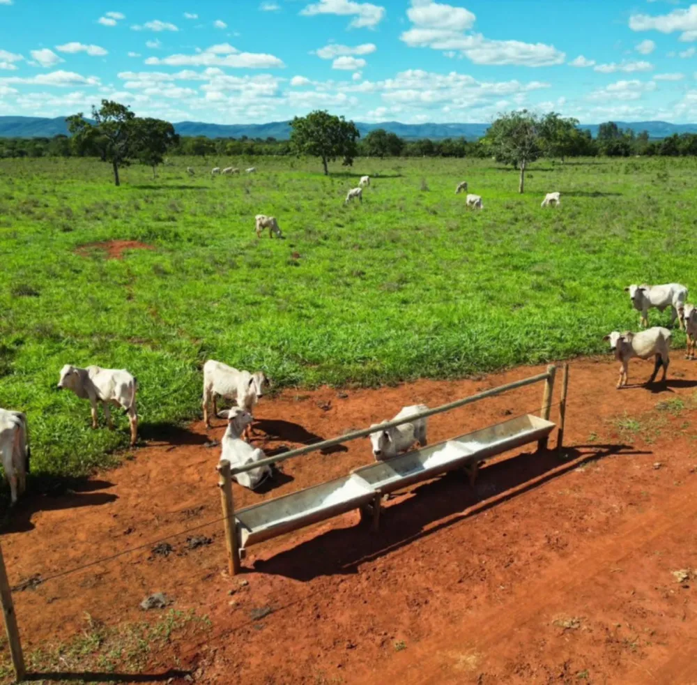 Fazenda, 1 quarto - Foto 1