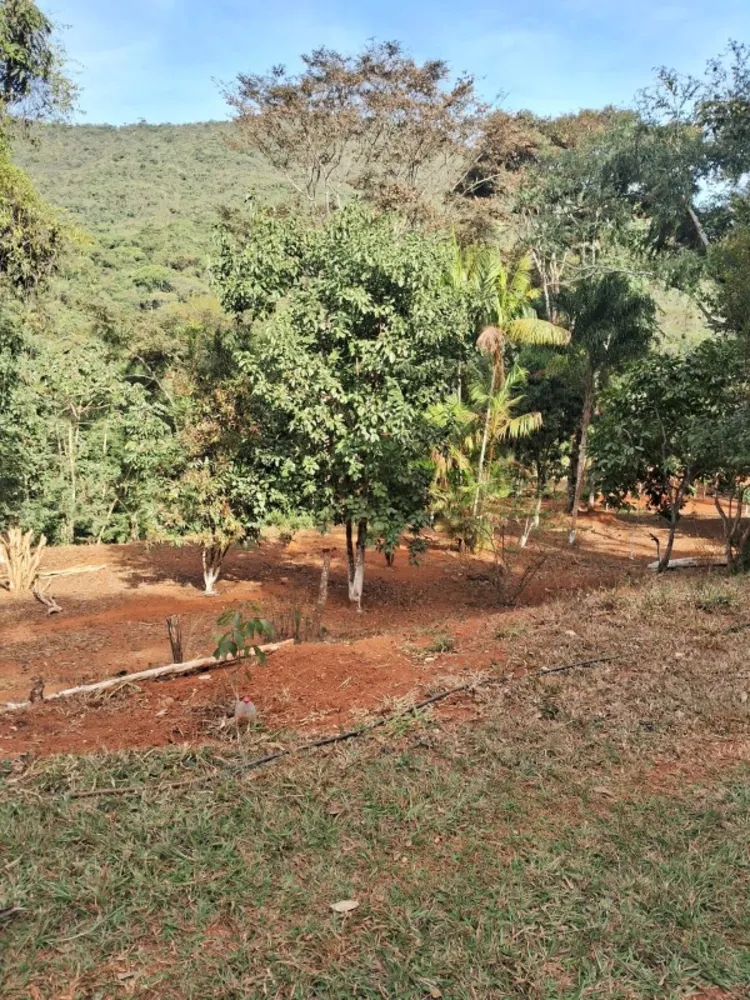 Chácara, 3 quartos, 10 hectares - Foto 16