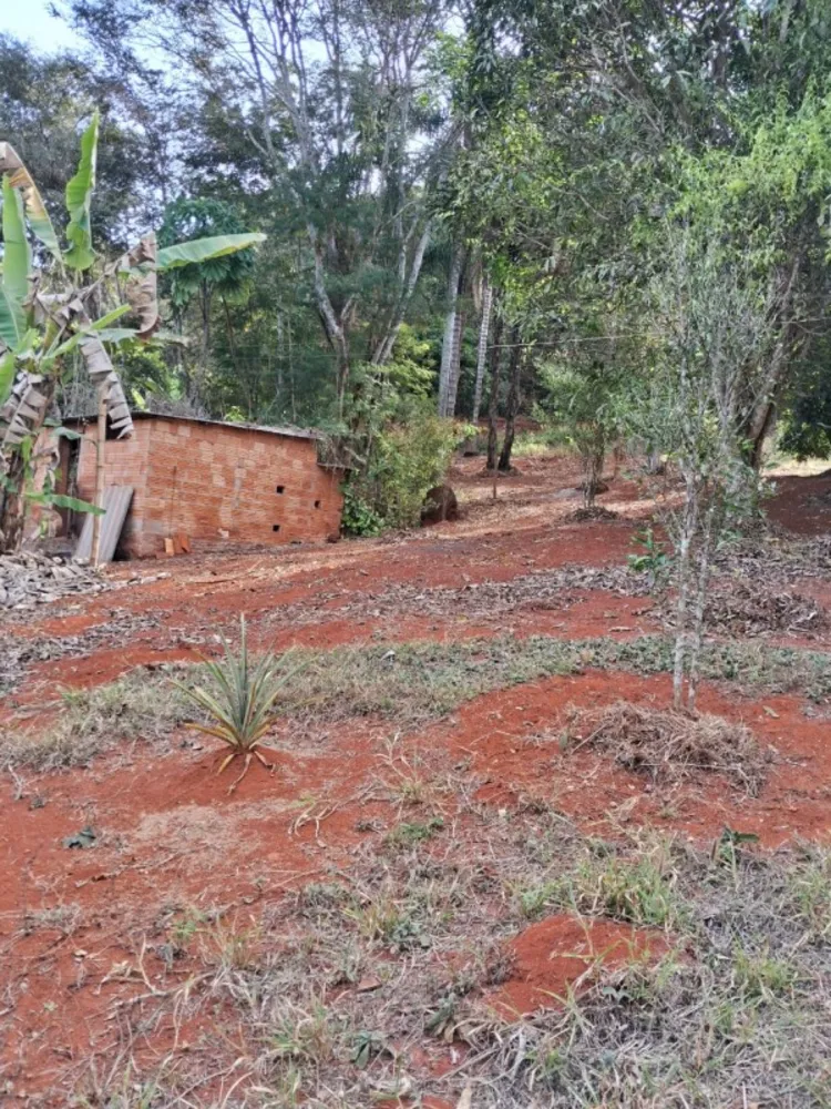Chácara, 3 quartos, 10 hectares - Foto 7
