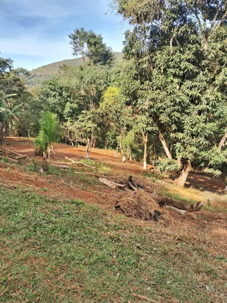 Sítio, 3 quartos, 10 hectares - Foto 7