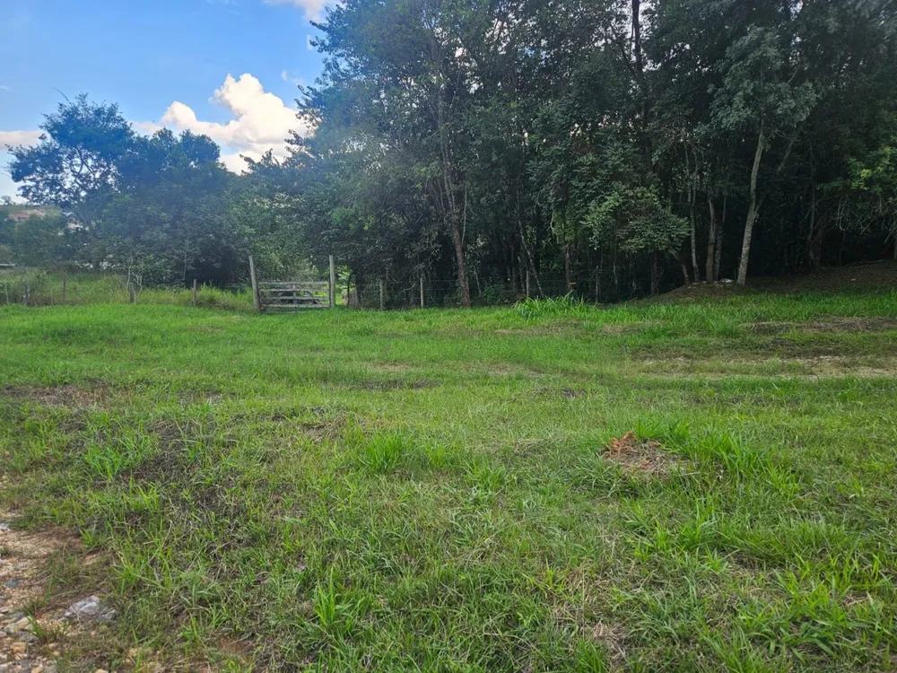 Loja-Salão, 4663 m² - Foto 3