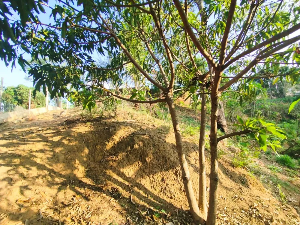 Chácara, 1 quarto, 1300 m² - Foto 6