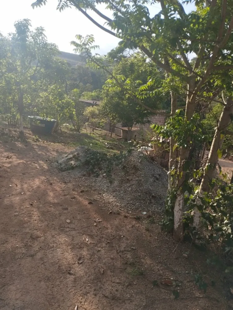 Chácara, 1 quarto, 1300 m² - Foto 5