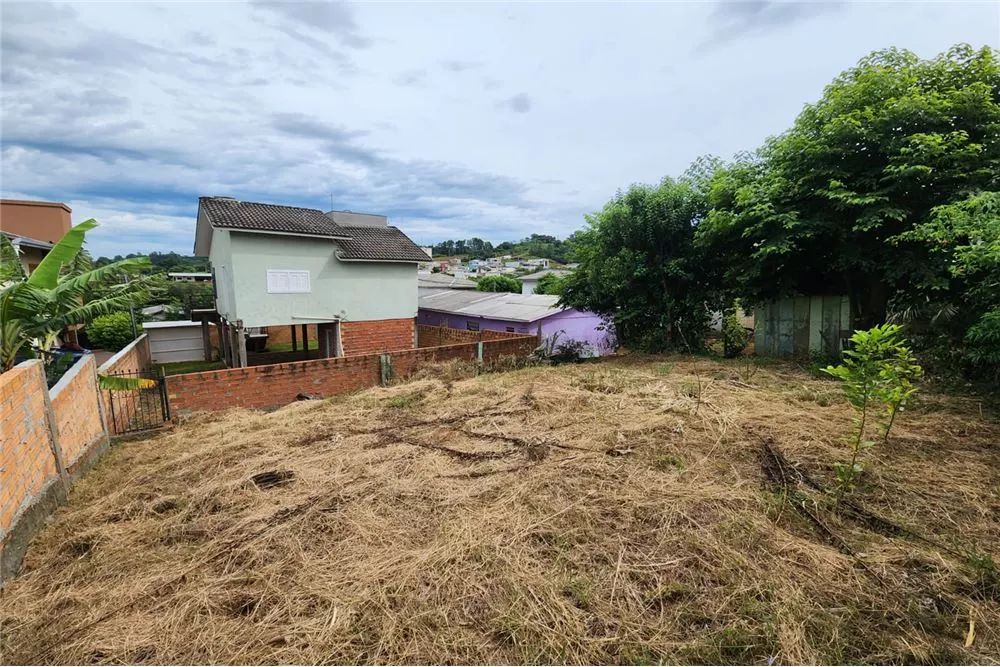 Casa à venda com 2 quartos, 360m² - Foto 5