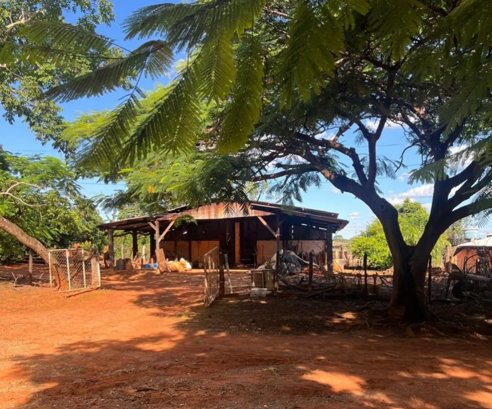Fazenda, 528 hectares - Foto 8