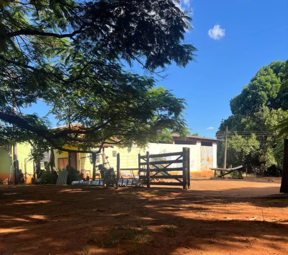 Fazenda, 528 hectares - Foto 4