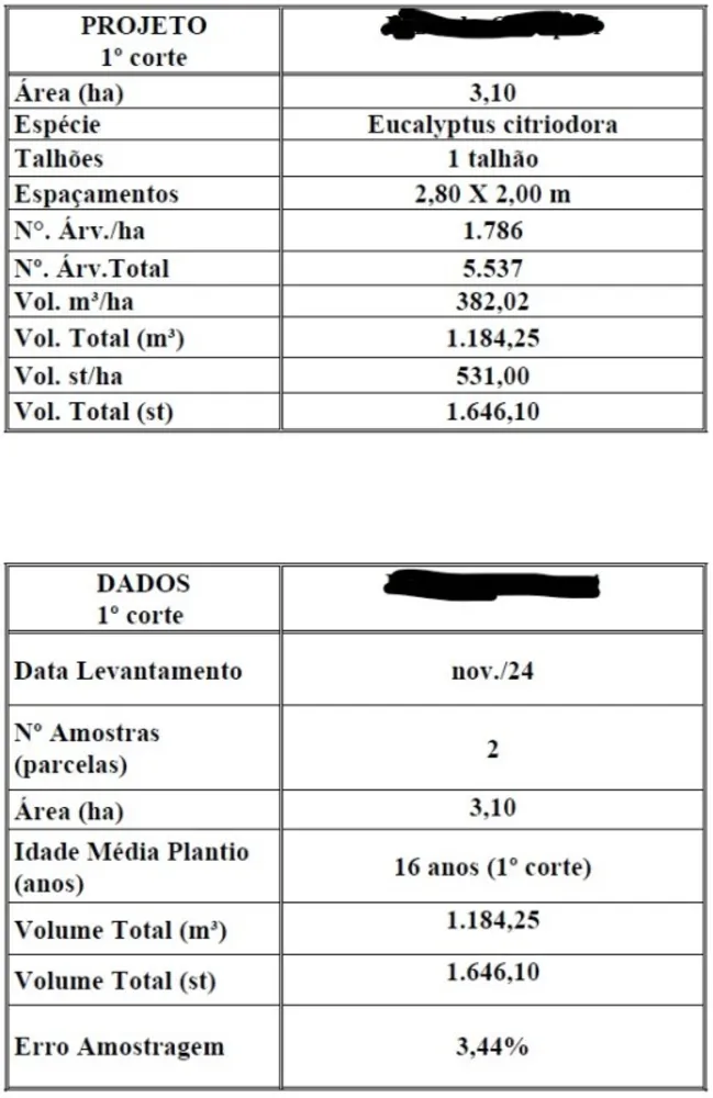 Fazenda, 528 hectares - Foto 1
