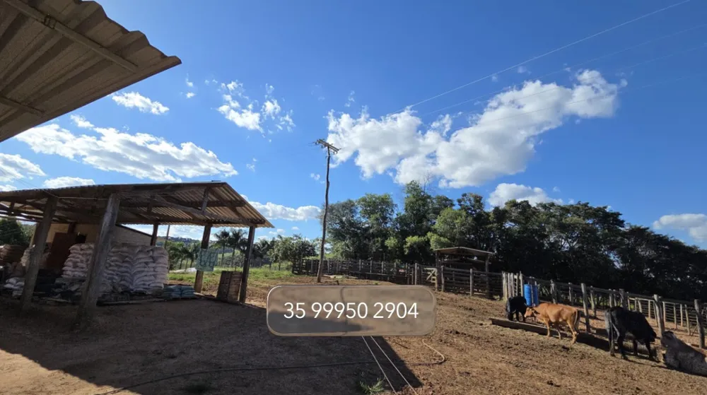 Fazenda, 92 hectares - Foto 4