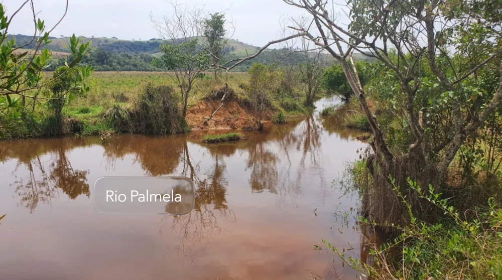 Fazenda, 92 hectares - Foto 10