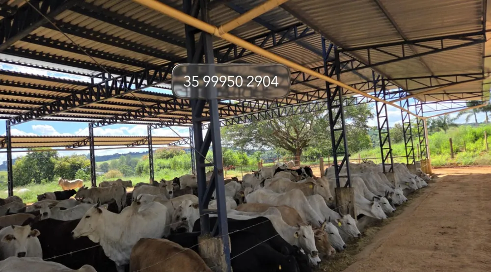 Fazenda, 92 hectares - Foto 2