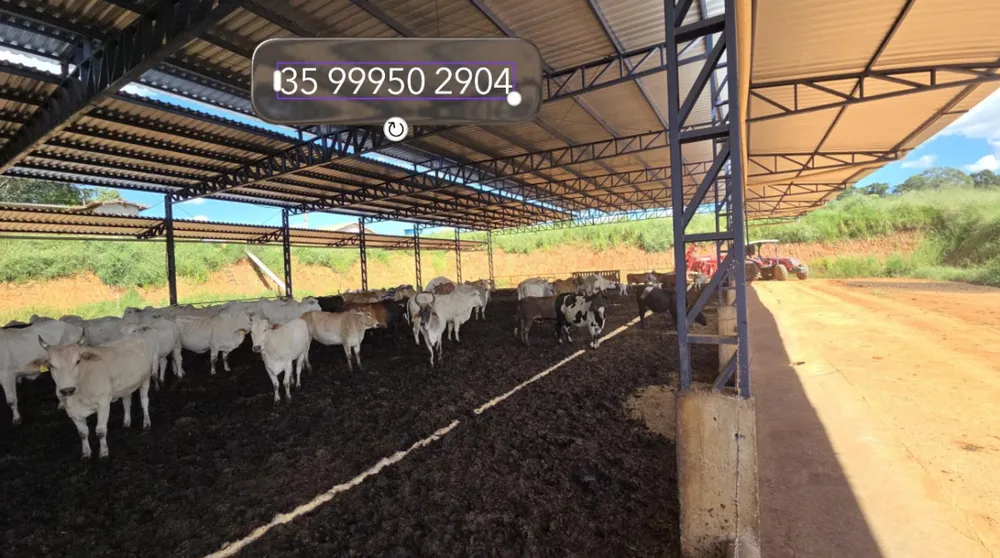 Fazenda, 92 hectares - Foto 3