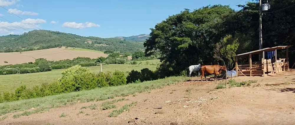 Fazenda, 92 hectares - Foto 3