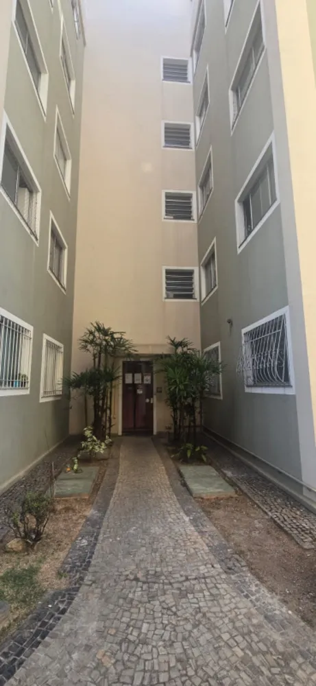 Apartamento, 3 quartos, 57 m² - Foto 4