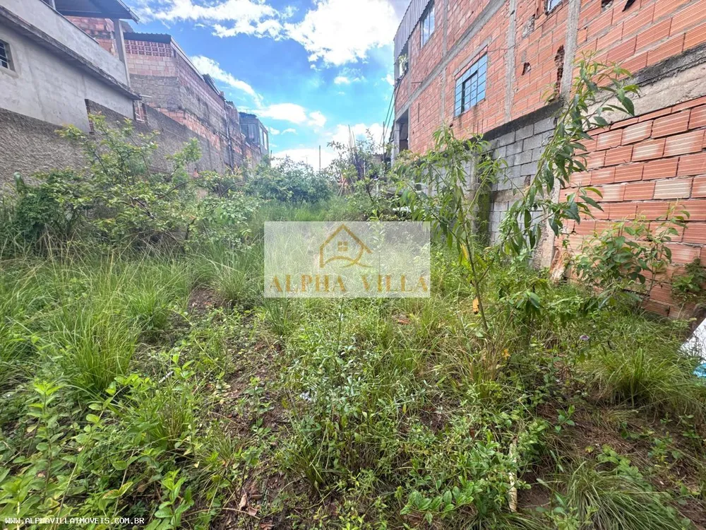Terreno, 360 m² - Foto 6
