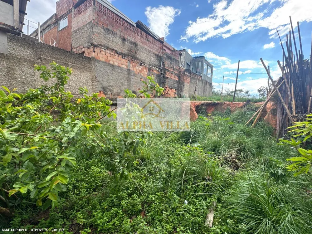 Terreno, 360 m² - Foto 4