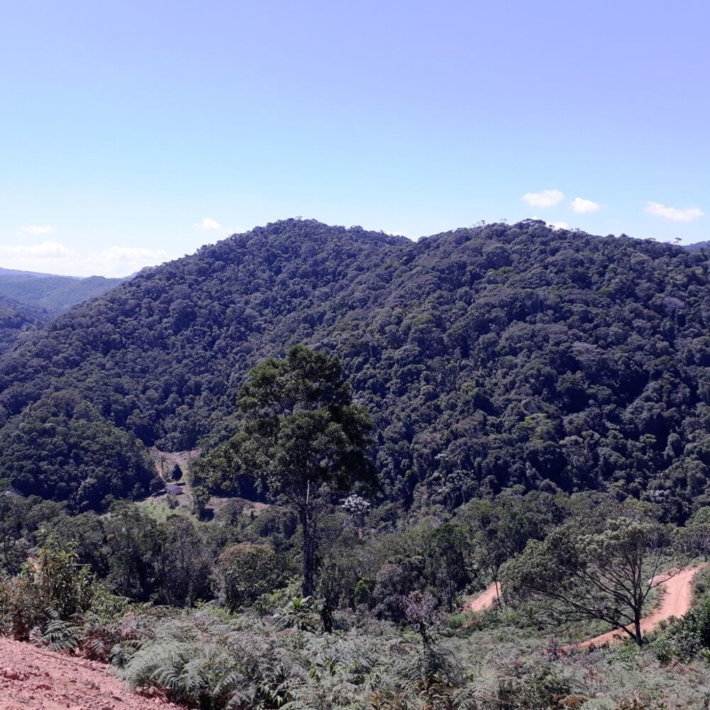 Chácara à venda com 1 quarto, 4000m² - Foto 2