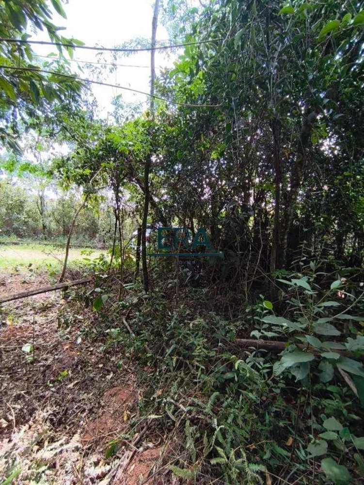 Terreno, 2285 m² - Foto 7