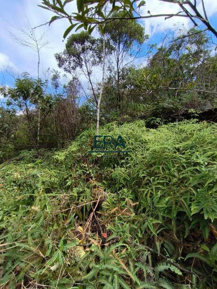 Terreno, 2285 m² - Foto 8