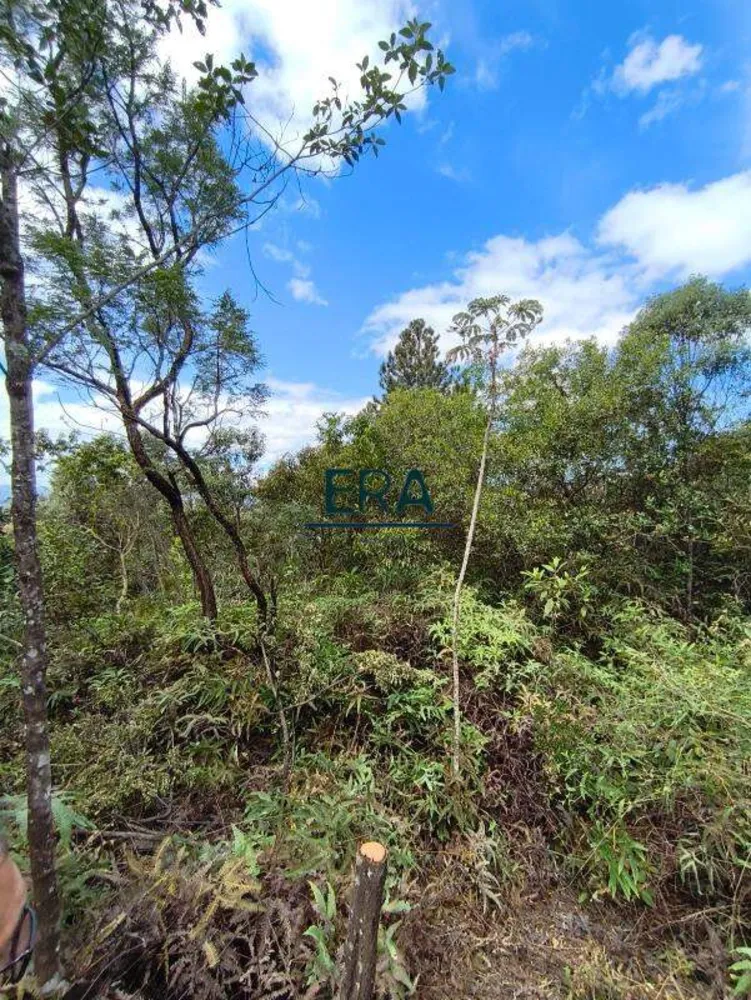 Terreno, 2285 m² - Foto 9