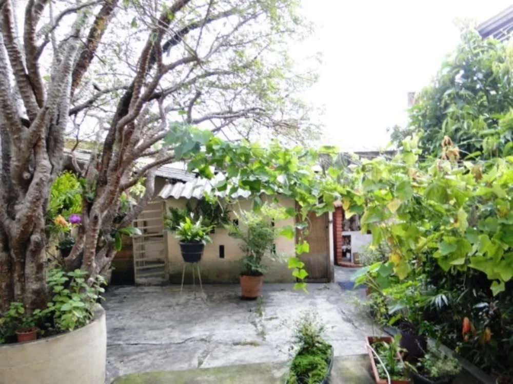 Casa, 4 quartos, 318 m² - Foto 7
