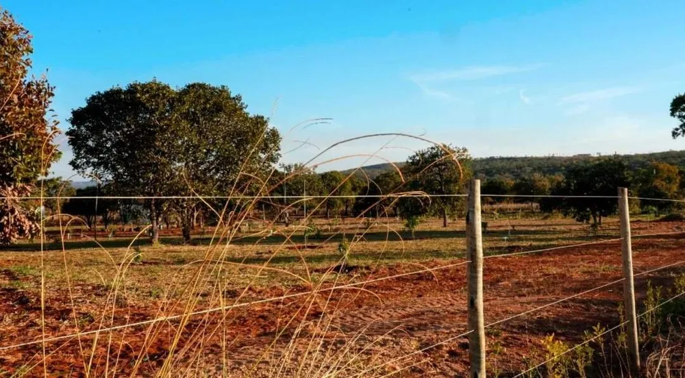 Terreno, 6 hectares - Foto 9