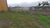 Terreno, 250 m² - Foto 5