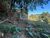 Terreno, 360 m² - Foto 3