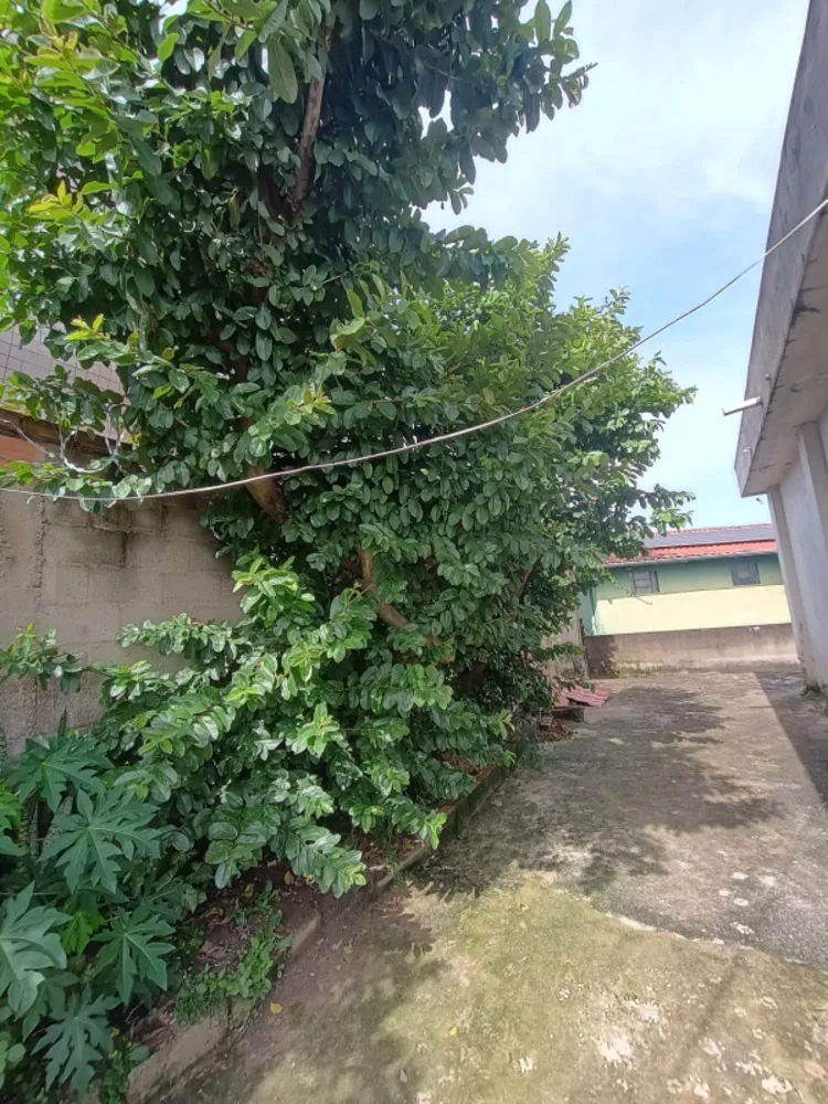 Casa, 4 quartos, 352 m² - Foto 8
