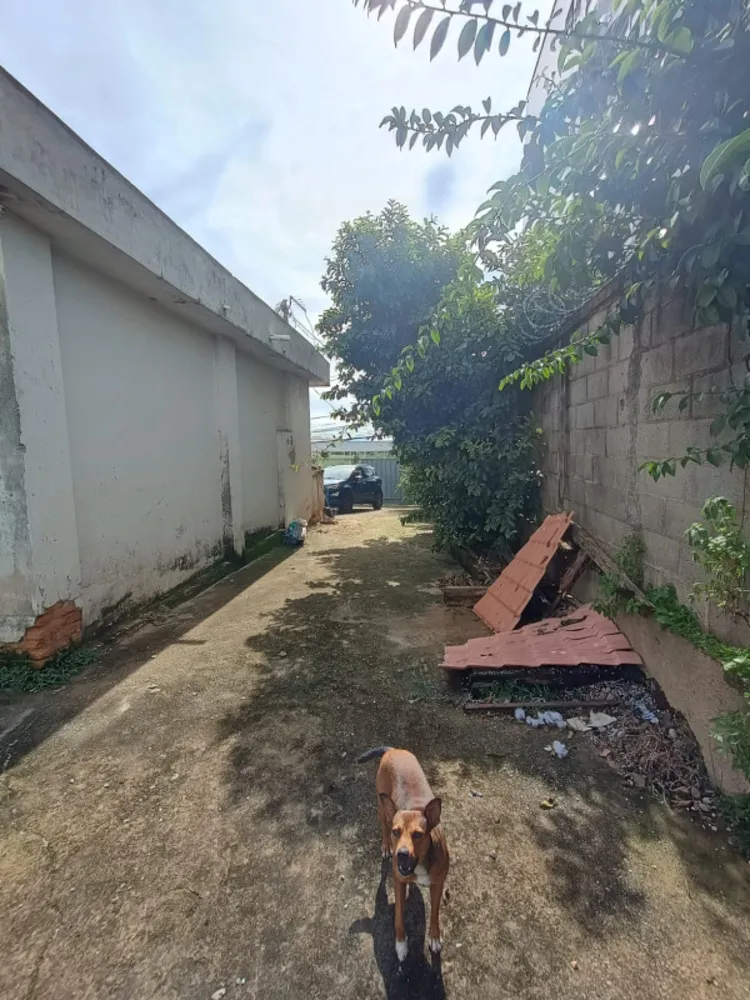 Casa, 4 quartos, 352 m² - Foto 17