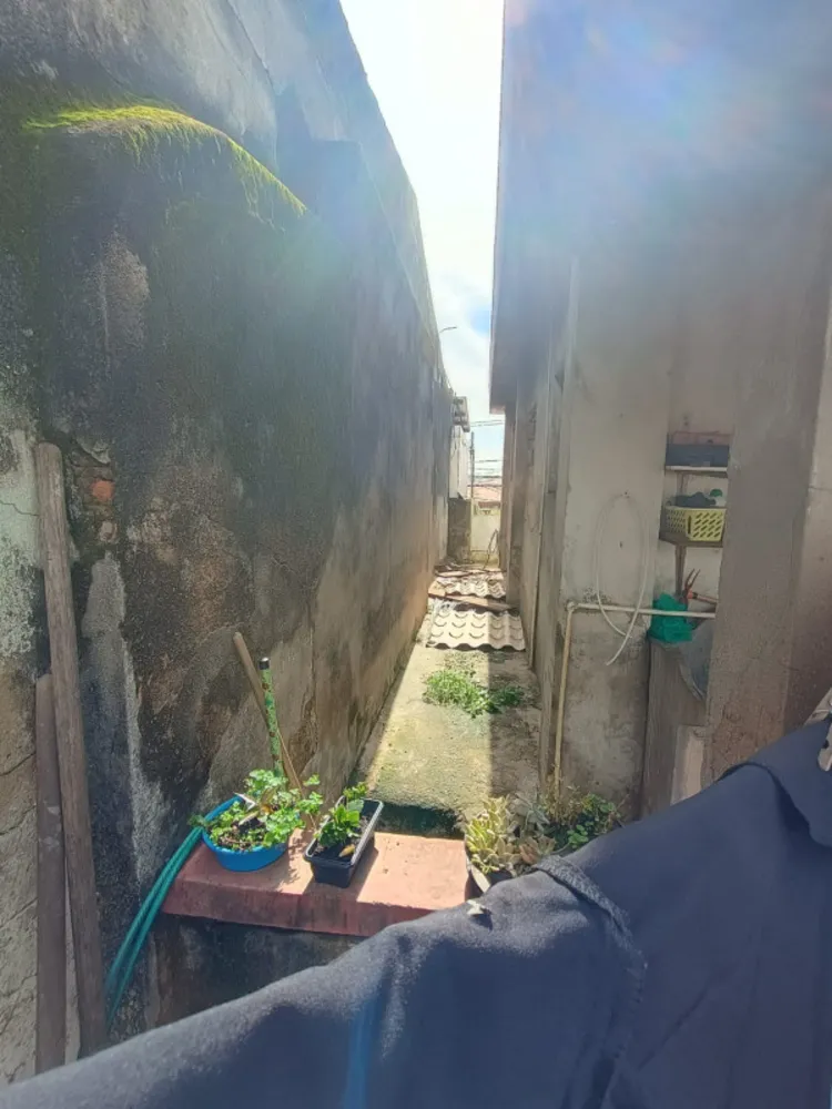Casa, 4 quartos, 352 m² - Foto 10