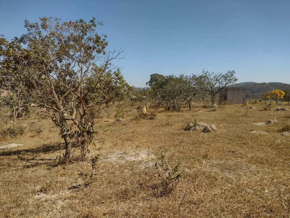 Sítio, 3 quartos, 2 hectares - Foto 4