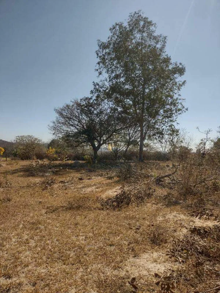 Sítio, 3 quartos, 2 hectares - Foto 8