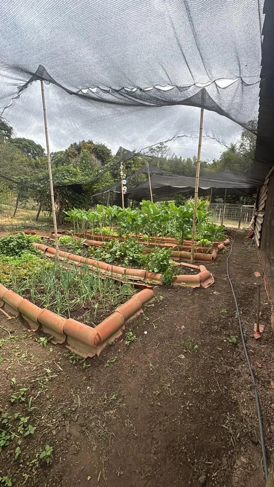 Chácara, 1 quarto - Foto 3