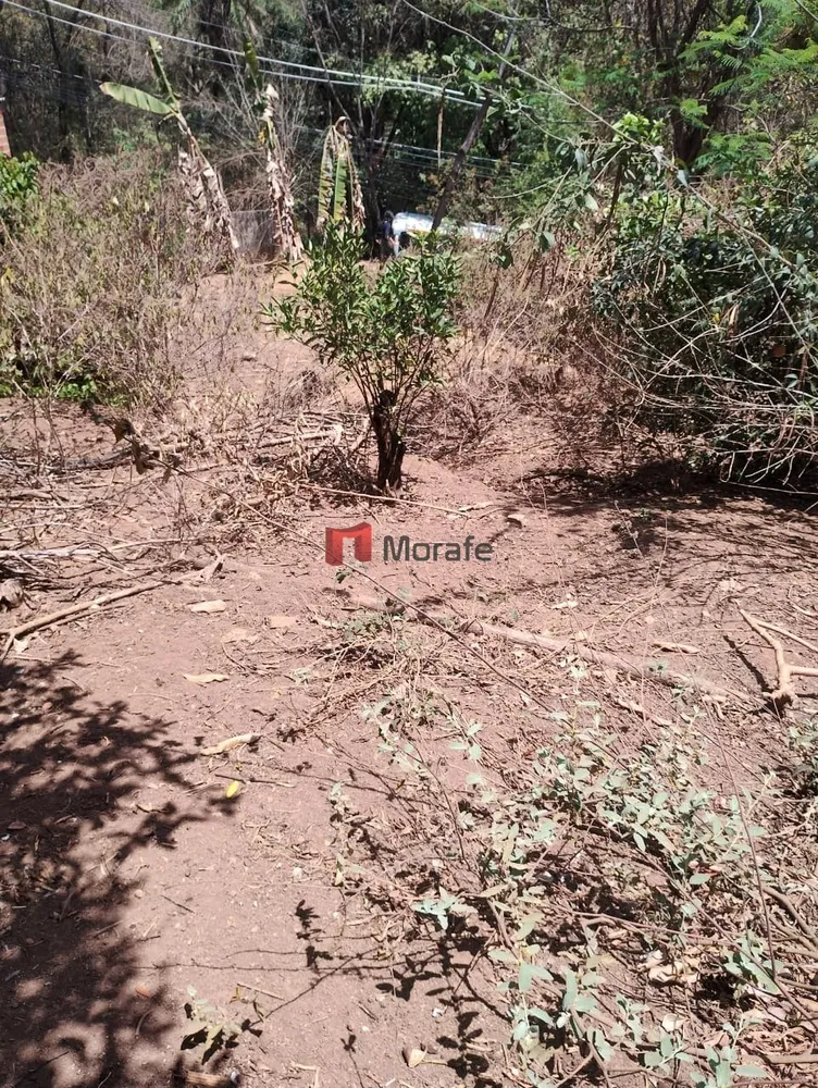 Terreno, 450 m² - Foto 6