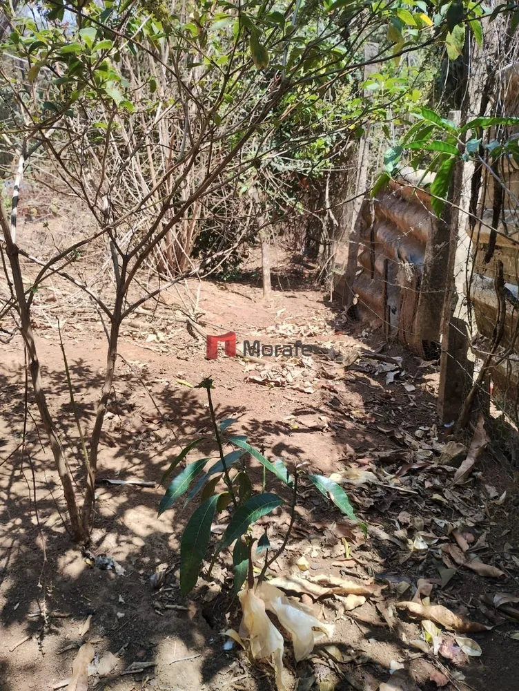 Terreno, 450 m² - Foto 7