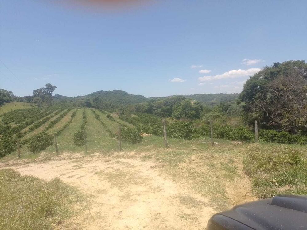 Fazenda à venda com 1 quarto, 120000m² - Foto 4