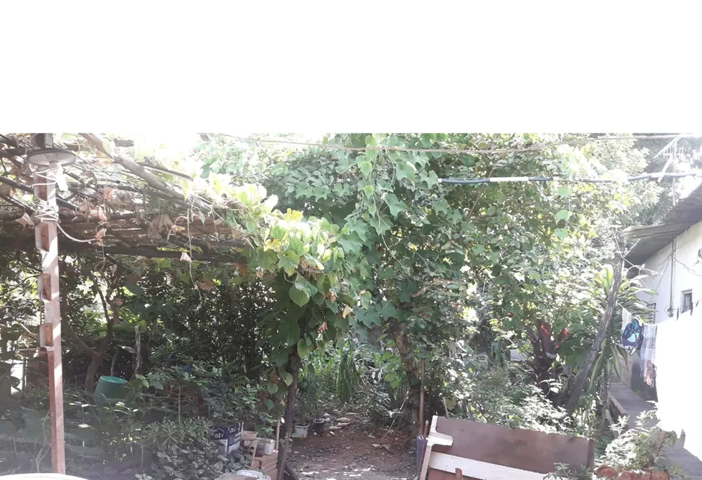 Terreno, 460 m² - Foto 7