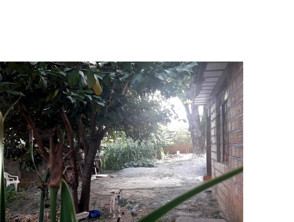 Terreno, 460 m² - Foto 6