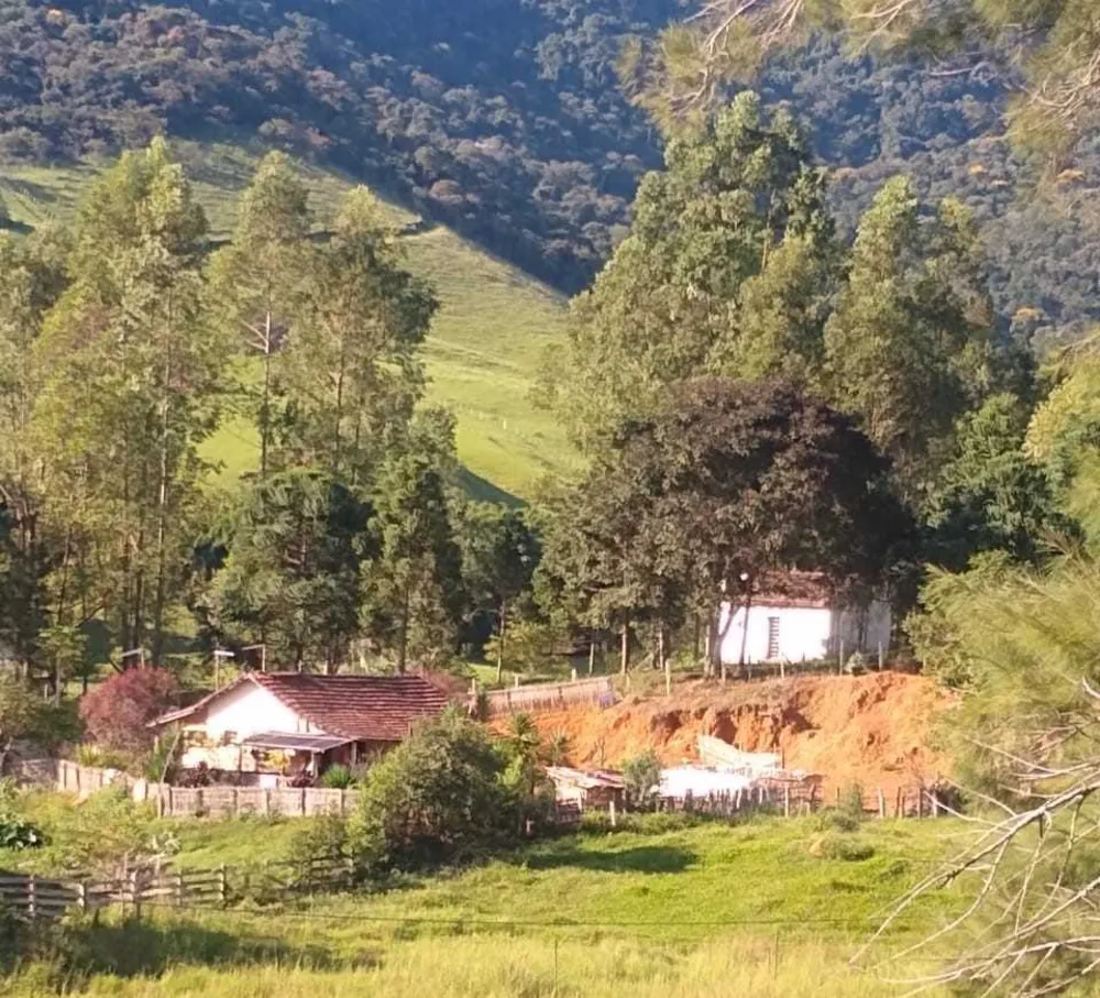 Fazenda, 150 hectares - Foto 8
