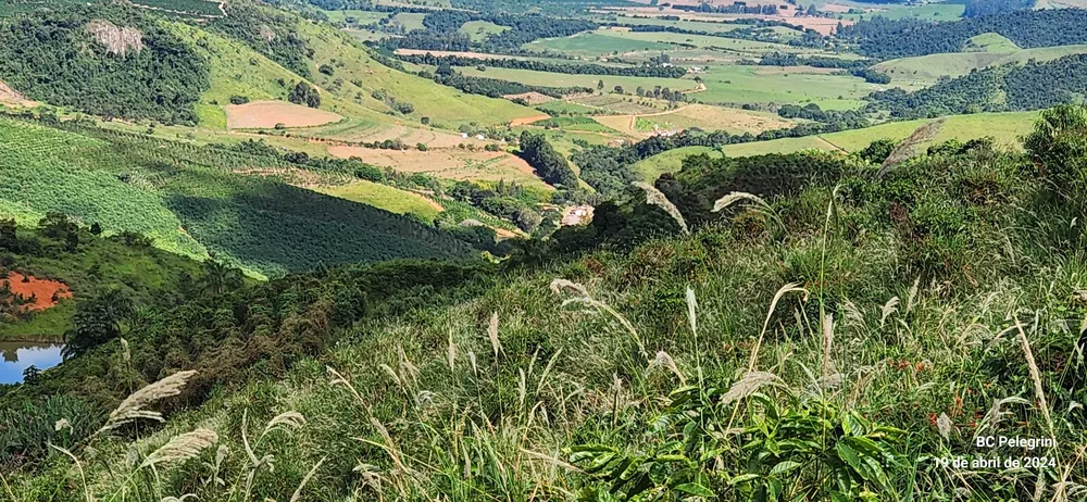 Fazenda, 150 hectares - Foto 11