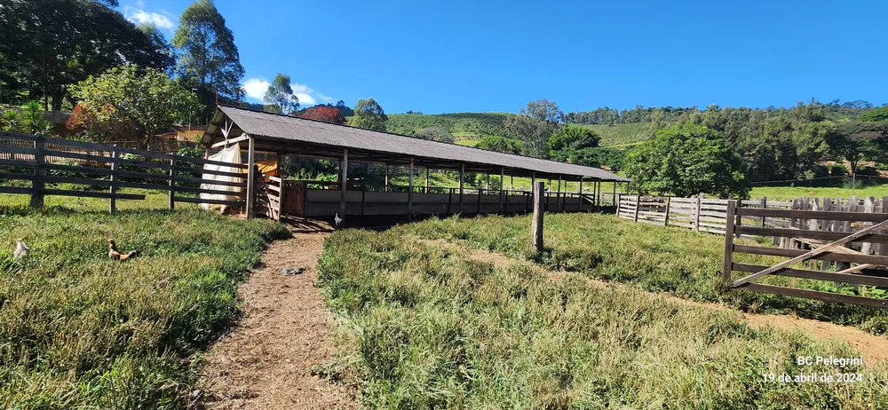 Fazenda, 150 hectares - Foto 3
