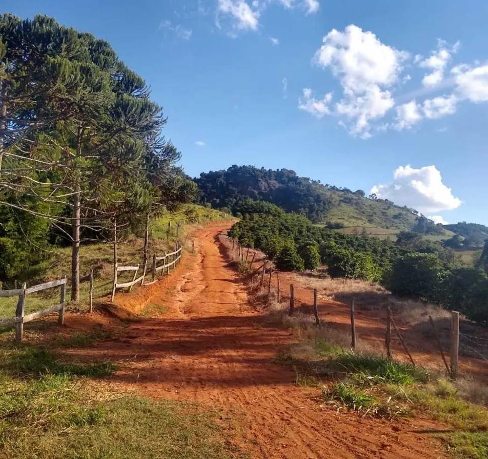 Fazenda, 150 hectares - Foto 2