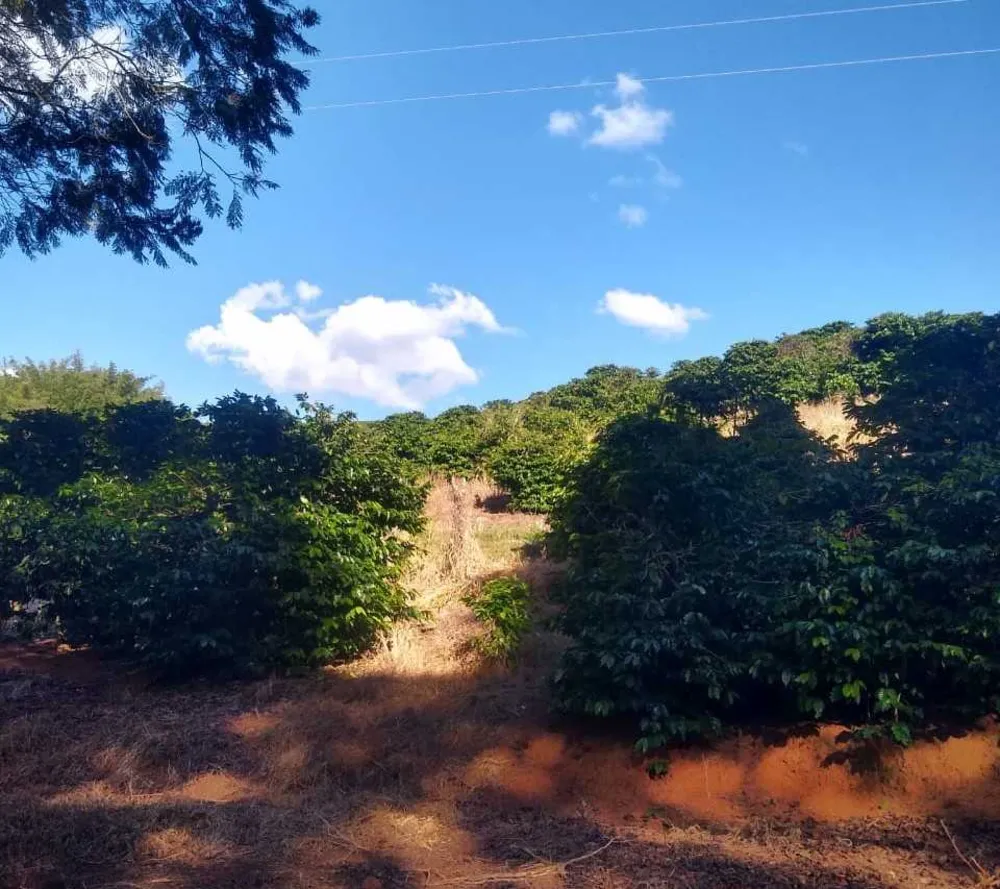 Fazenda, 150 hectares - Foto 5
