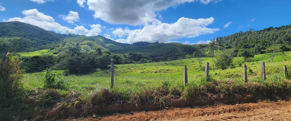 Fazenda, 150 hectares - Foto 8