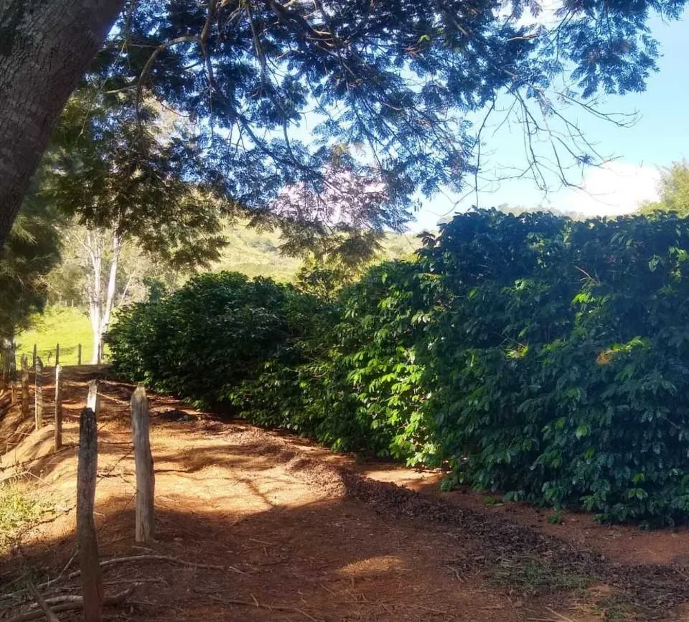 Fazenda, 150 hectares - Foto 15