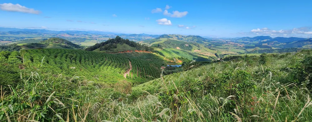 Fazenda, 150 hectares - Foto 1