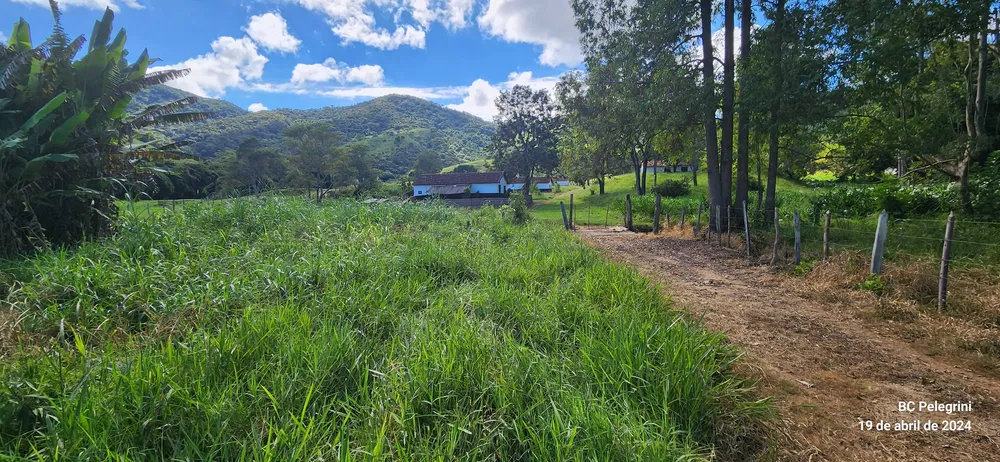 Fazenda, 150 hectares - Foto 6
