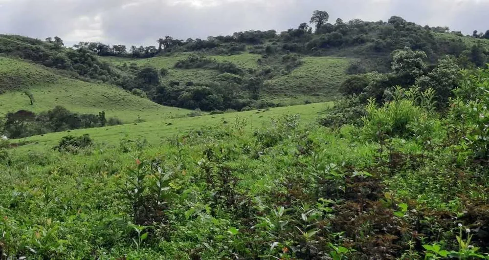Fazenda, 400 hectares - Foto 10