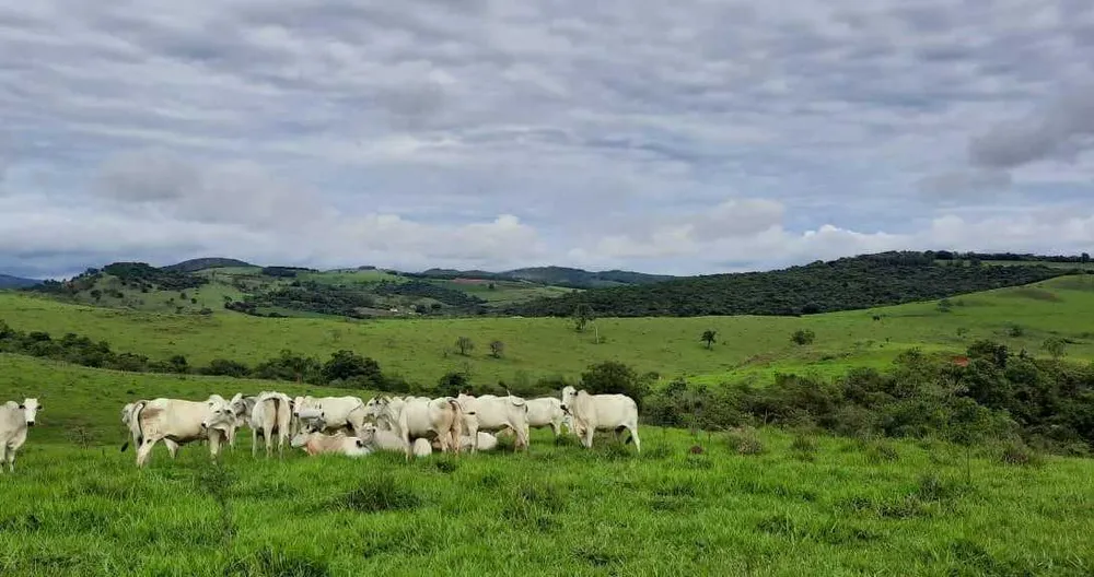 Fazenda, 400 hectares - Foto 1
