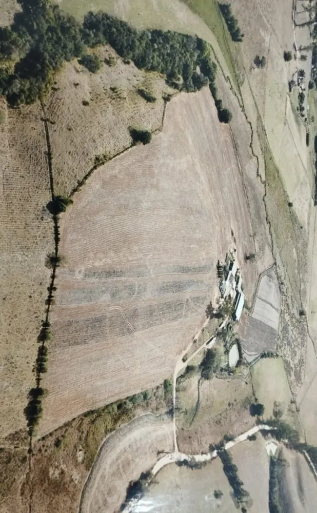Sítio, 1 quarto, 19 hectares - Foto 10